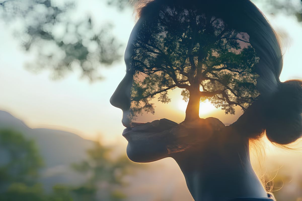 photo 2025 06 23 11 00 12